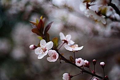 《WWE 2K23》服务器下线 联网功能不再可用